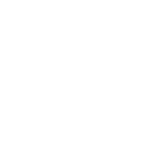Bridges Academy Logo